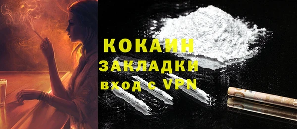 ГАЛЛЮЦИНОГЕННЫЕ ГРИБЫ Ельня