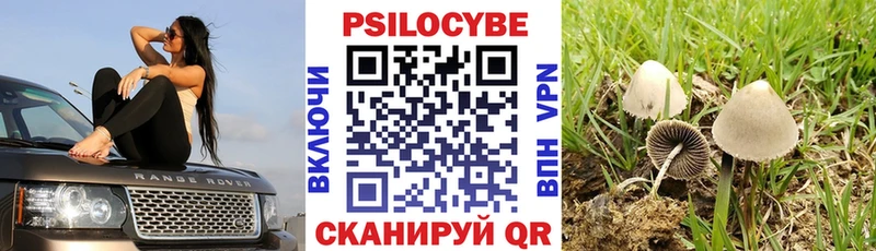 наркошоп  нарко площадка официальный сайт  Псилоцибиновые грибы прущие грибы  Котельнич 